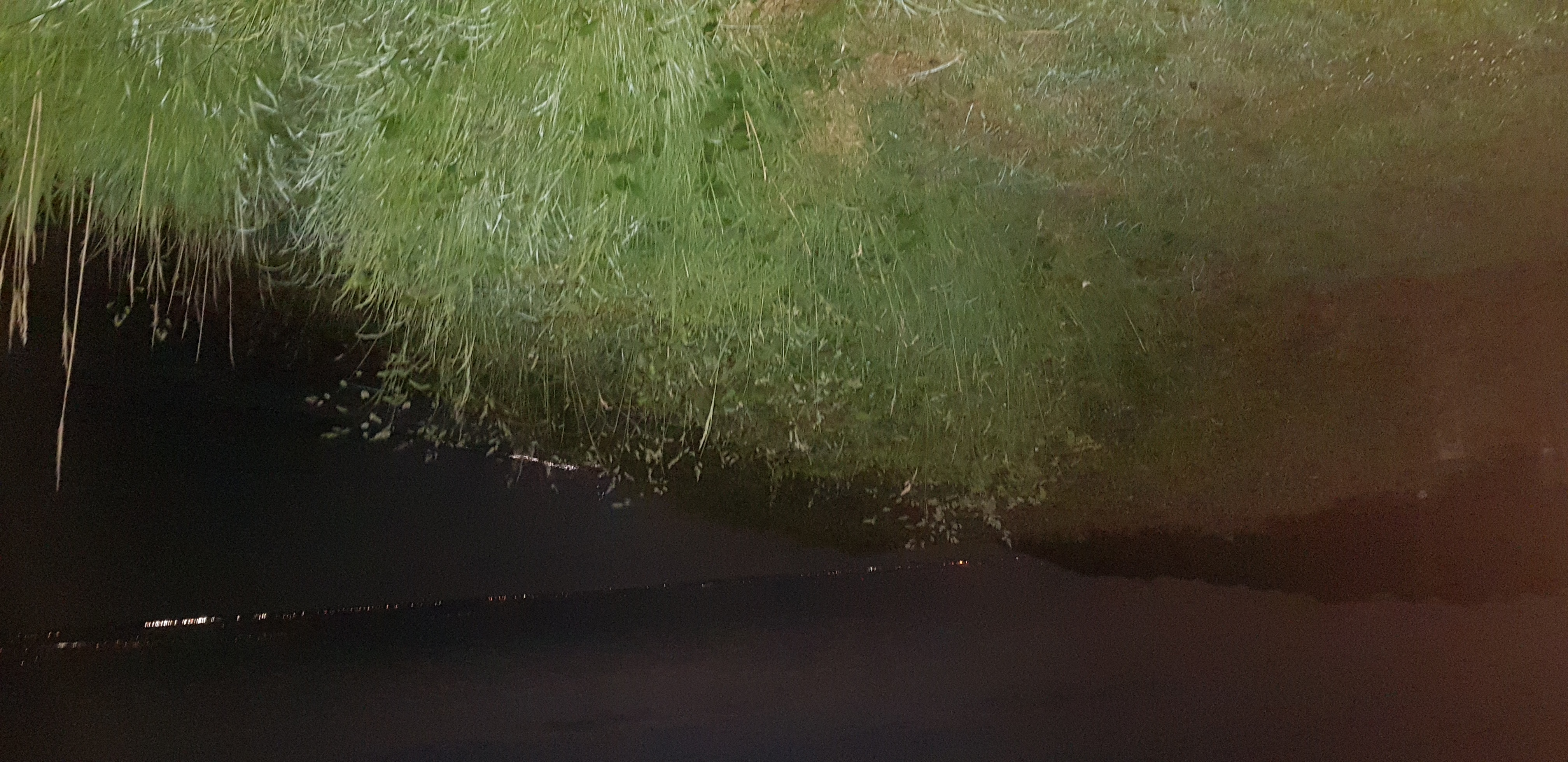 Image 35