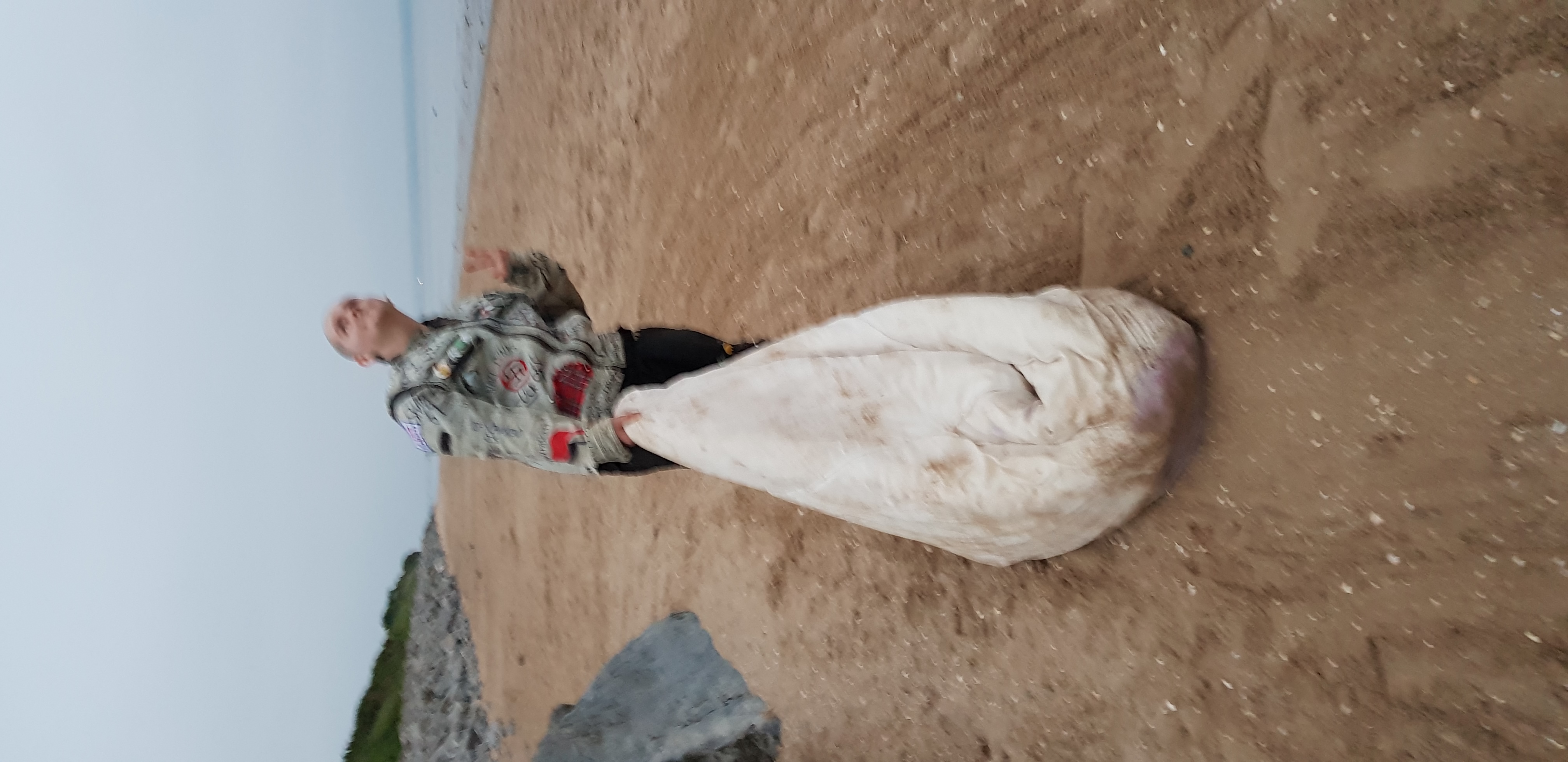 Image 25